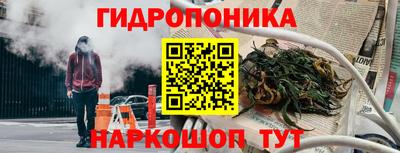 гашик Нальчик