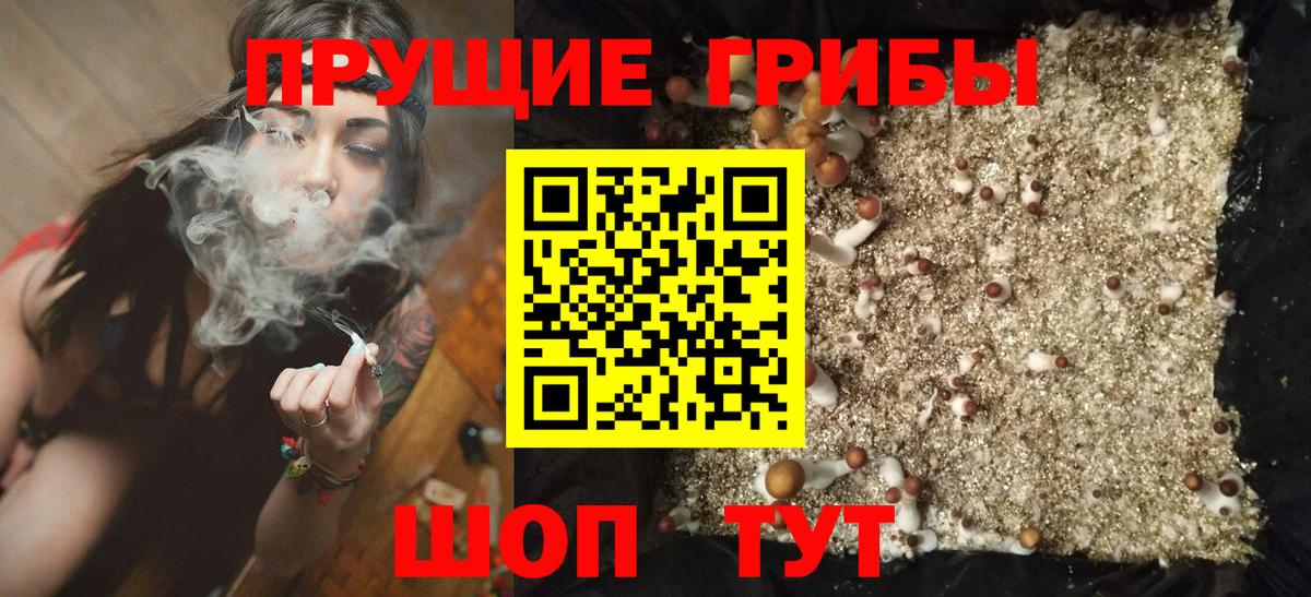 Псилоцибиновые грибы GOLDEN TEACHER Ульяновск