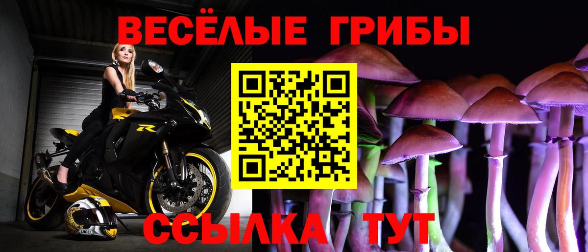 Ульяновск  Псилоцибиновые грибы MAGIC MUSHROOMS  Псилоцибиновые грибы Psilocybe  Вход с VPN 