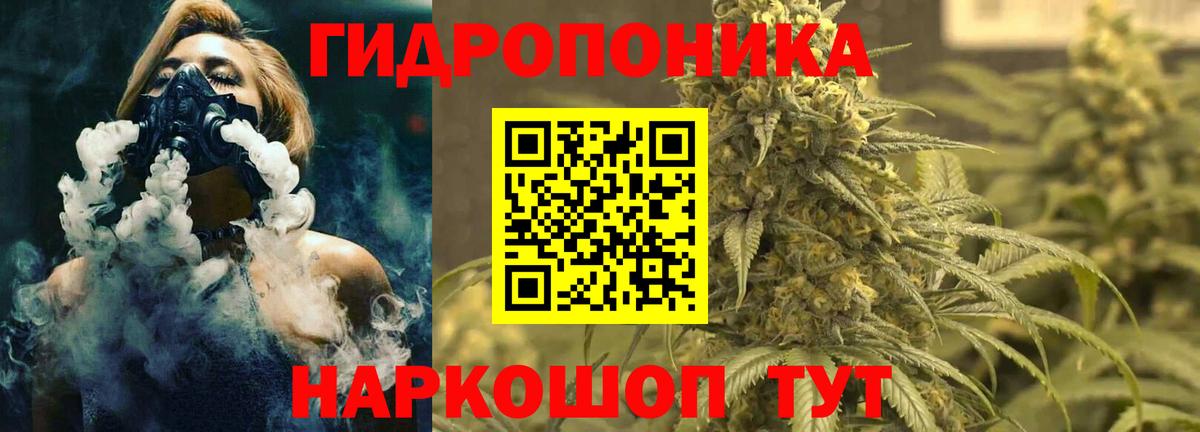 Бошки Шишки ГИДРОПОН Ульяновск